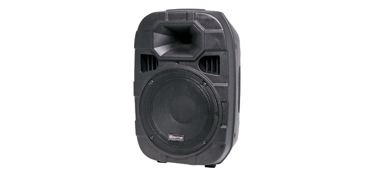 250mm 10" 2 Way 250W Powered PA Speaker