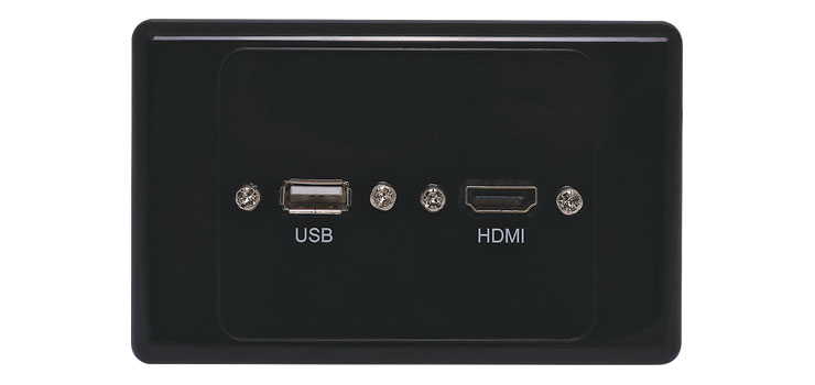 HDMI USB A Black Wallplate with Flyleads