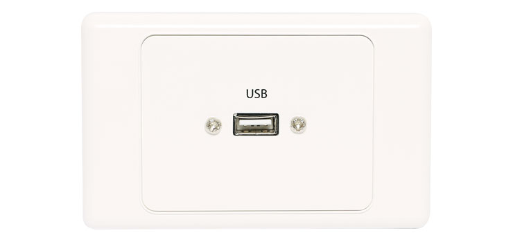 USB Single Wallplate with Socket Flylead