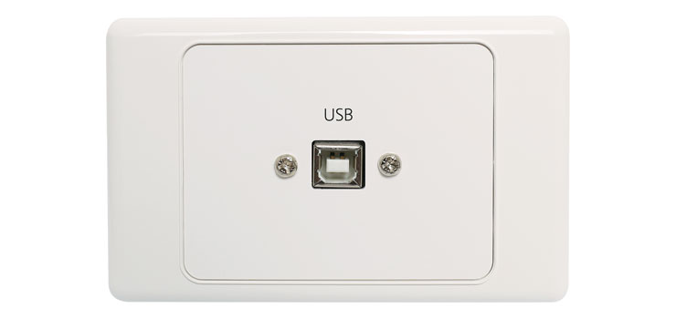 USB Type B Wallplate with USB A Plug Flylead