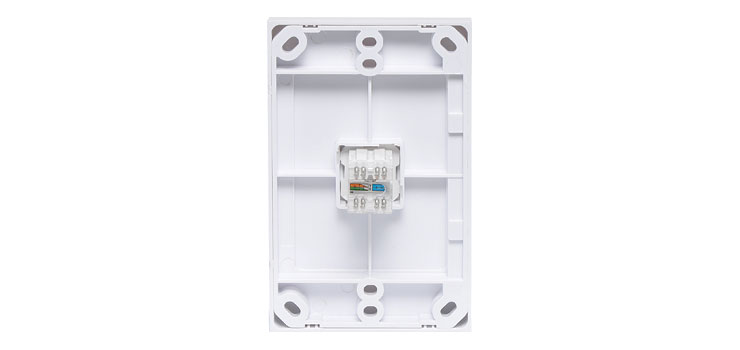 Single RJ45 Cat6A Keystone Wallplate