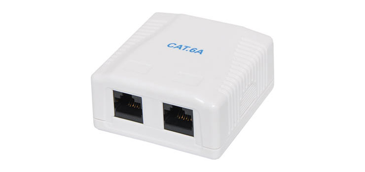 Dual Keystone Surface Mount Wall Box RJ45 Cat6a