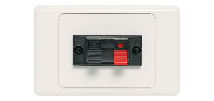 Single Spring Terminal Speaker Wallplate