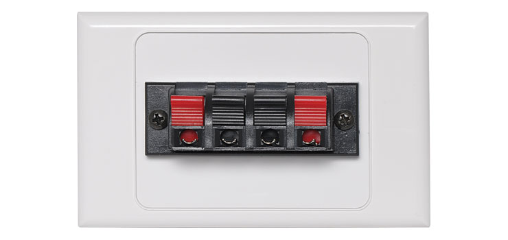 Dual Spring Terminal Speaker Wallplate