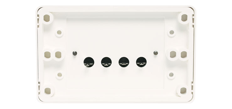 Dual Spring Terminal Speaker Wallplate
