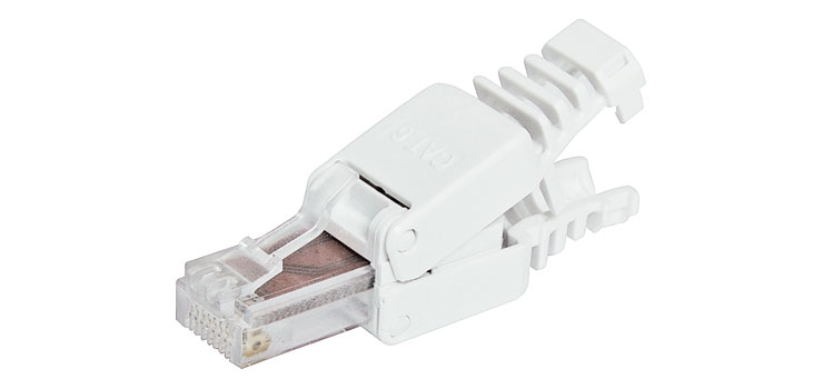 2042-8p8c-rj45-modular-plug-cat6-toolless-1.jpg