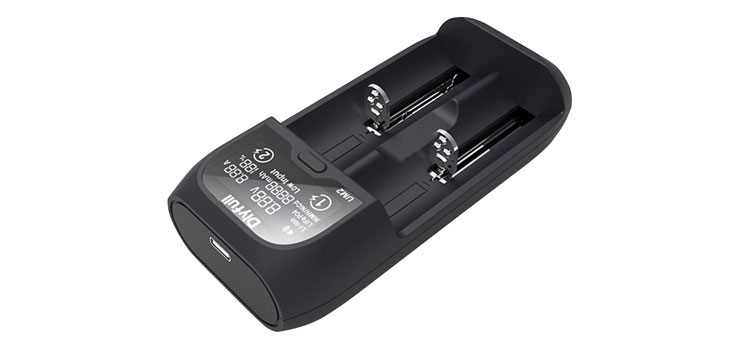 3173-2-way-universal-fast-battery-charger-with-lcd-1.jpg