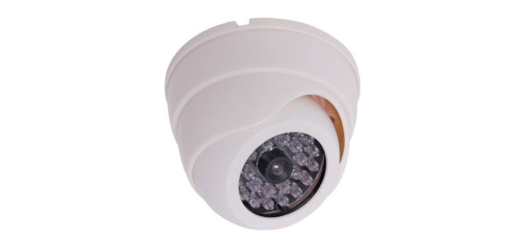 Dummy Dome Security Camera